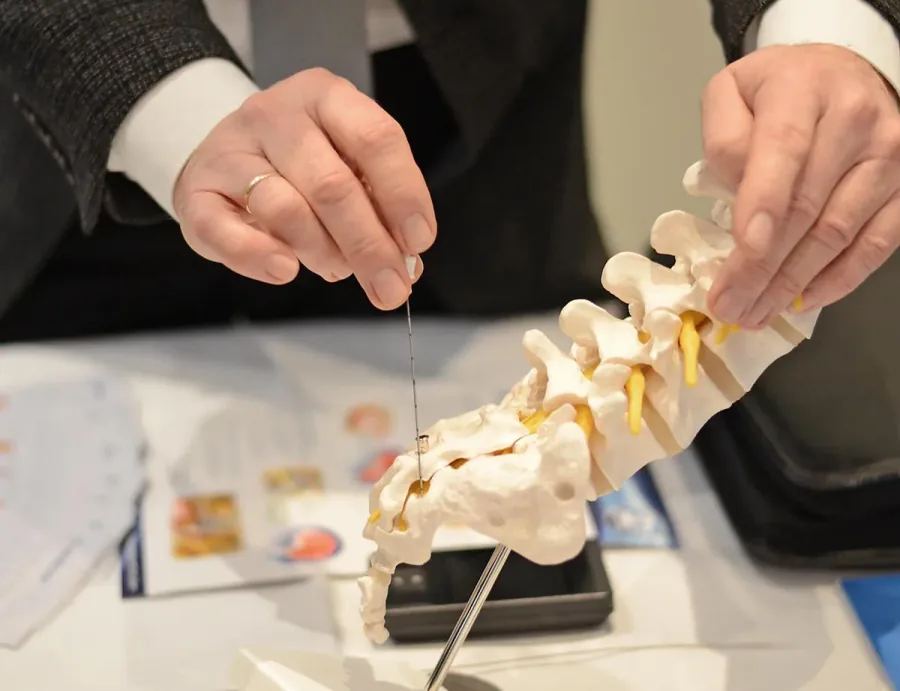Modell des Beckenbodens zur Diagnose und Therapie